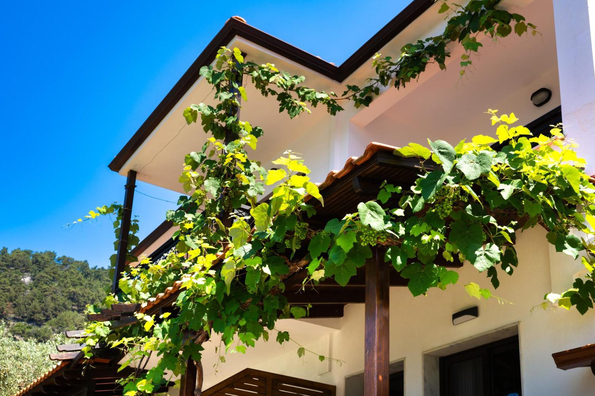 Island View Villa Golden Beach  Exterior photo